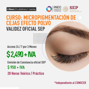 Micropigmentación de Cejas Efecto Polvo